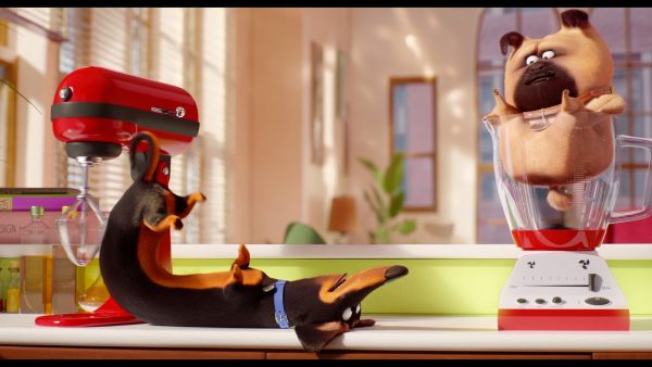 Pets 2 - unser Kinotipp der Woche Pets 2 - unser Kinotipp der Woche