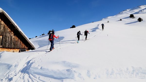 Skitour, Wald und Wild Skitour, Wald und Wild