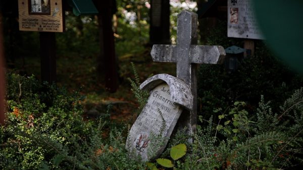 Ein historischer Waldfriedhof Ein historischer Waldfriedhof