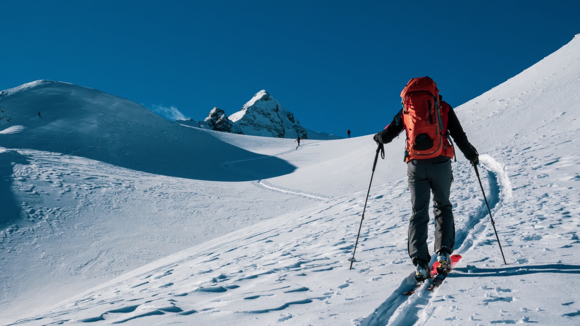 Mit der richtigen Skitourausrüstung Bergauf und ab 